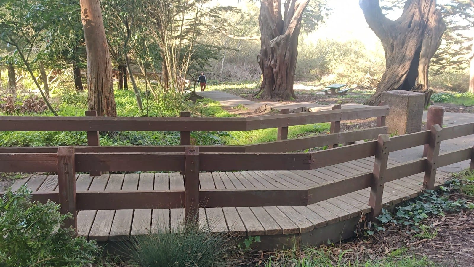 McLaren Park Trails, photo 2