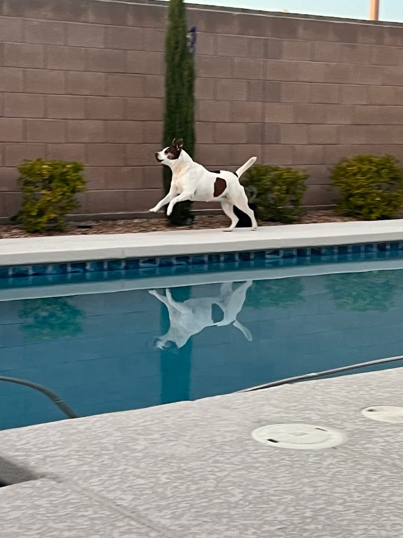 Axis Pest Control, photo 4
