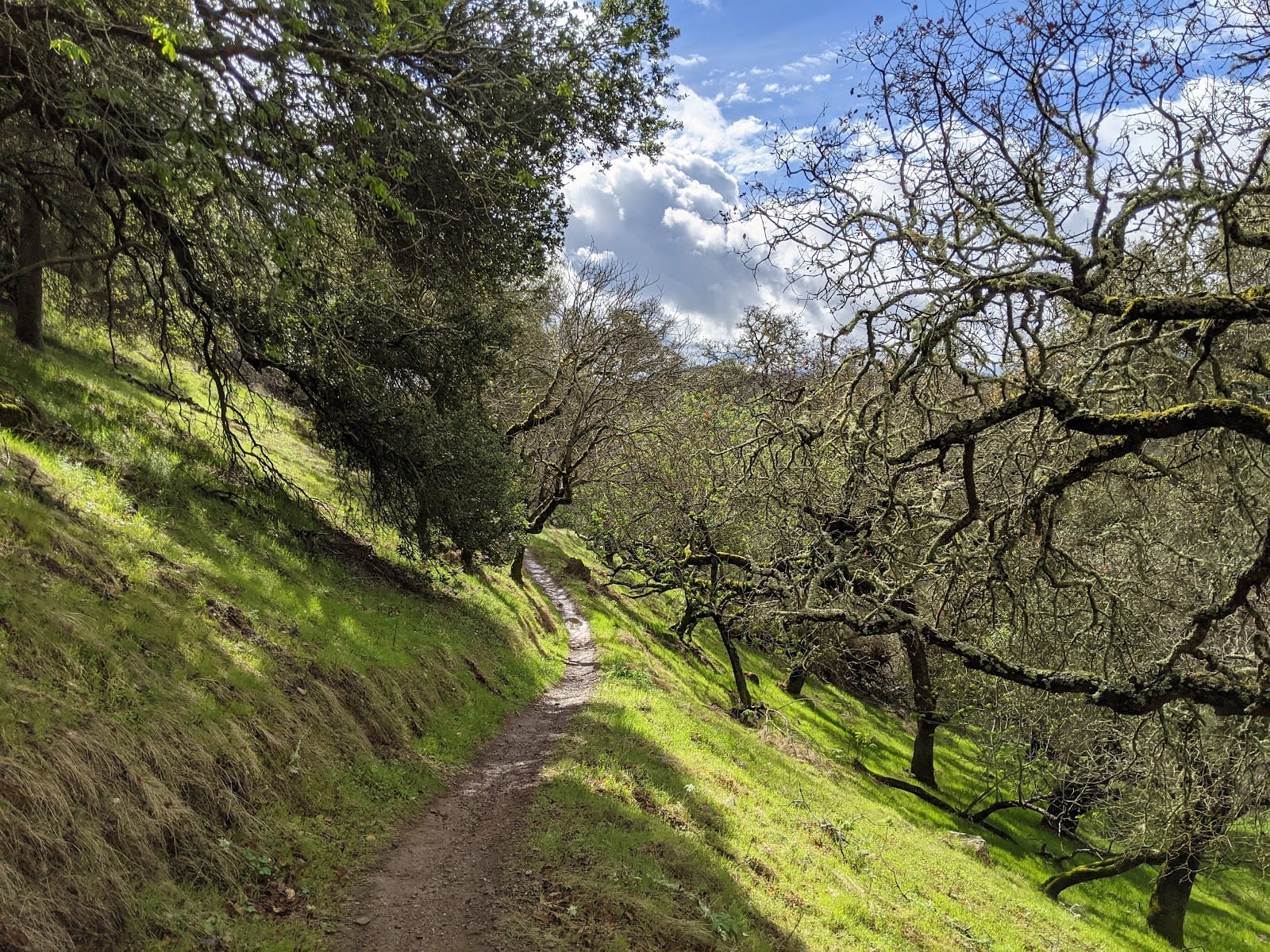 Moore Creek Park