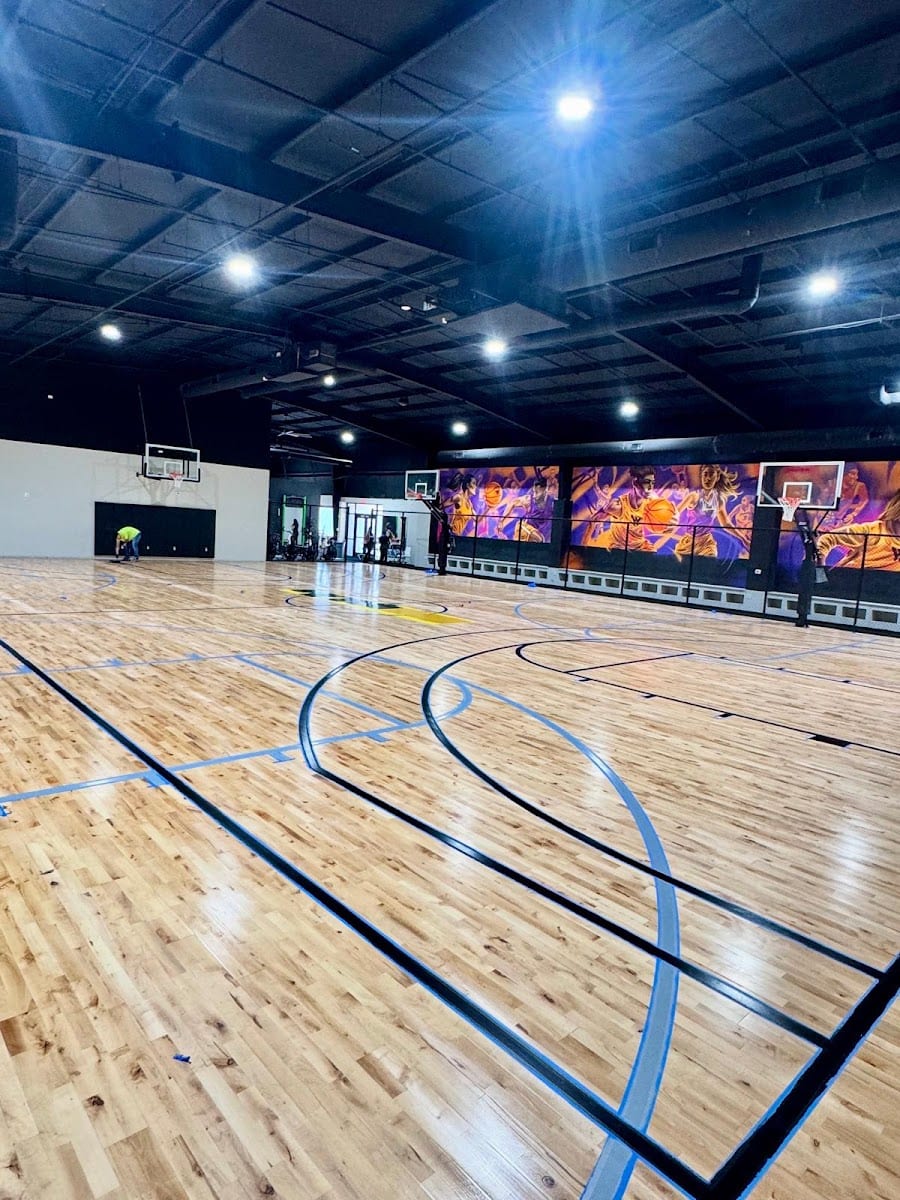 Swysh Den Basketball
