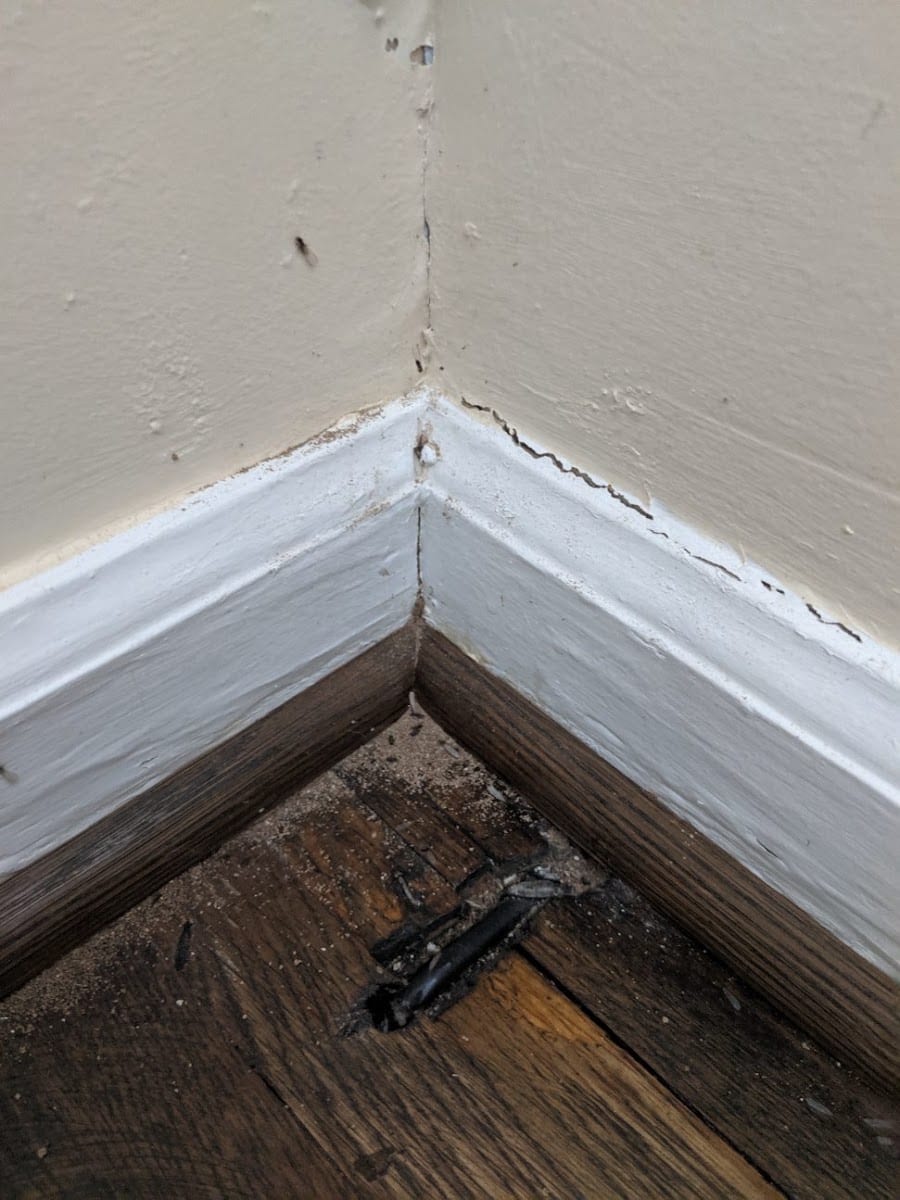 Bales Termite & Pest Control