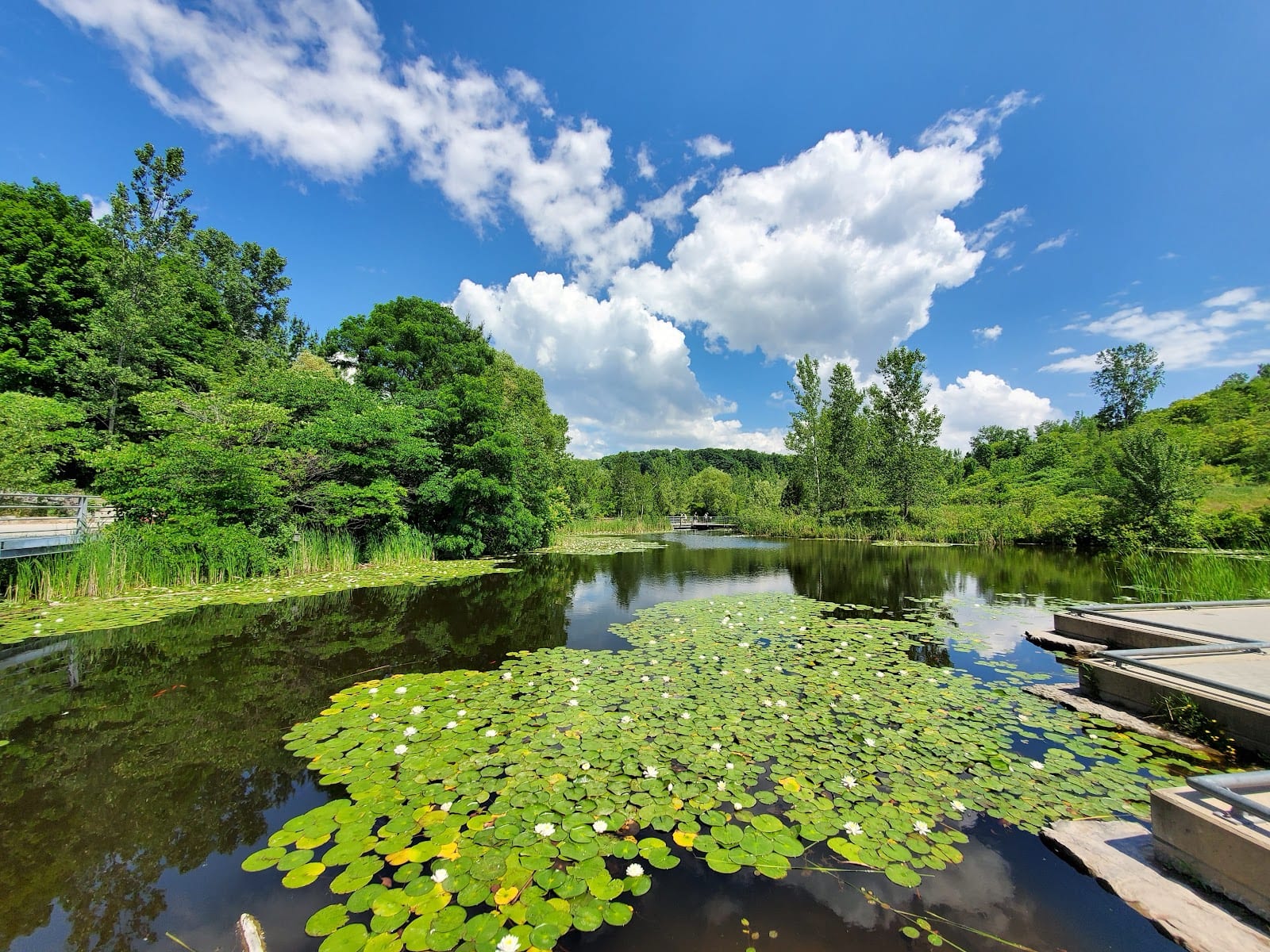 Evergreen Brick Works, photo 4