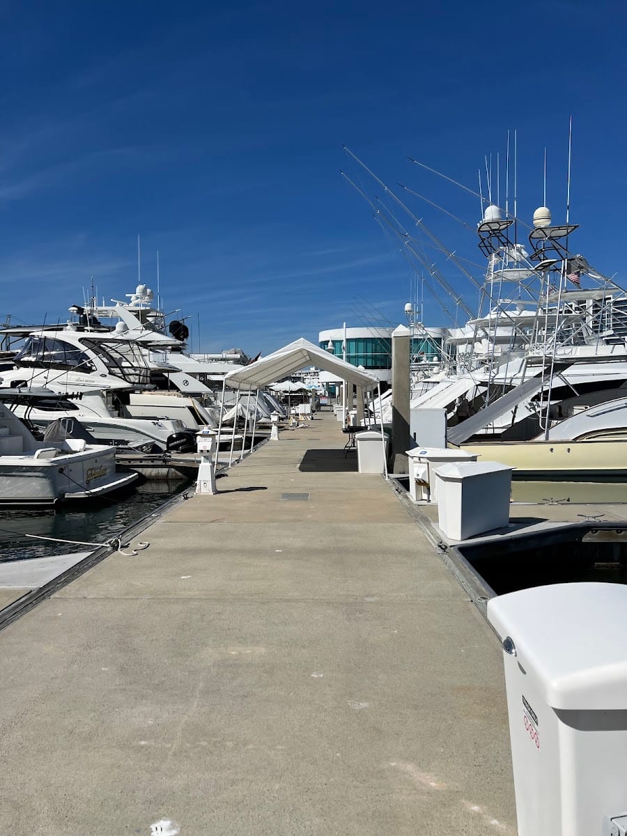 Southbay Yacht & Racquet Club, photo 3