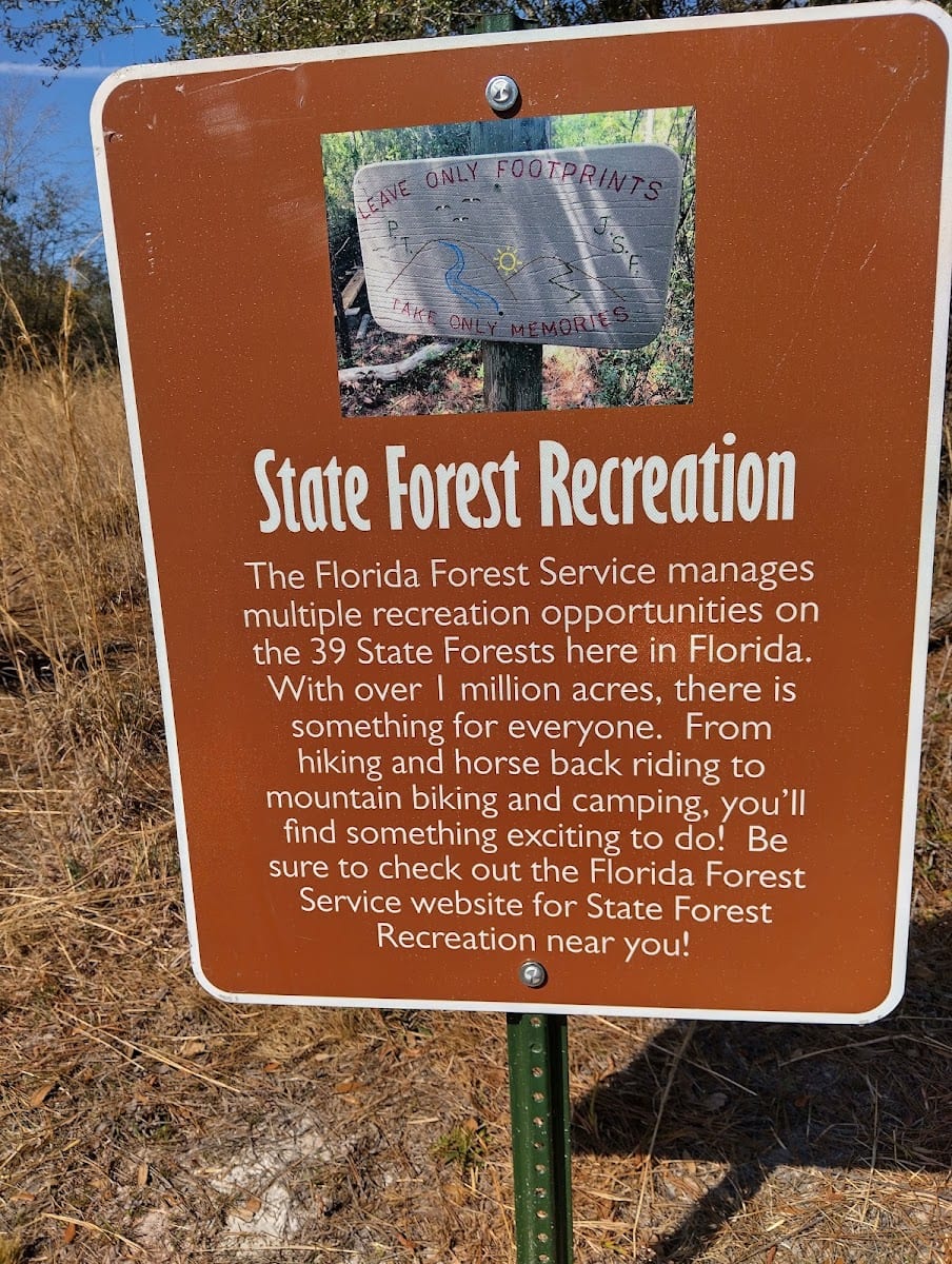 Belmore State Forest - Satsuma Tract, photo 3