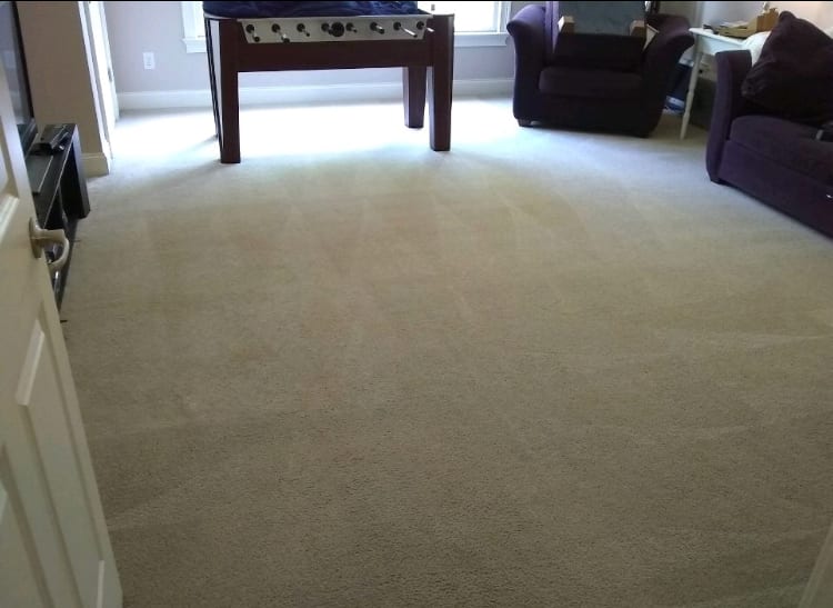 LocalPro Carpet Cleaning of Madison