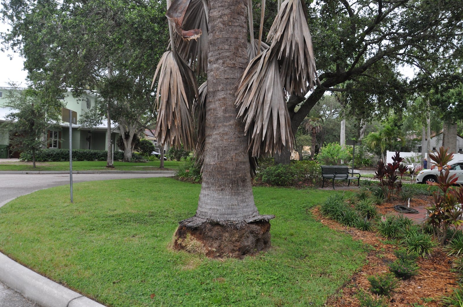 Bonita Park, photo 4
