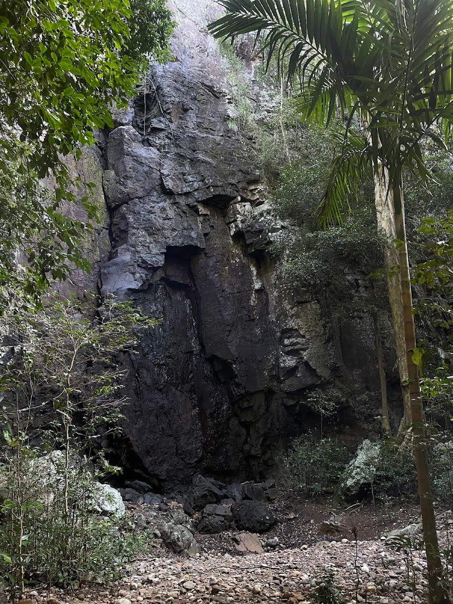 Paradise Falls