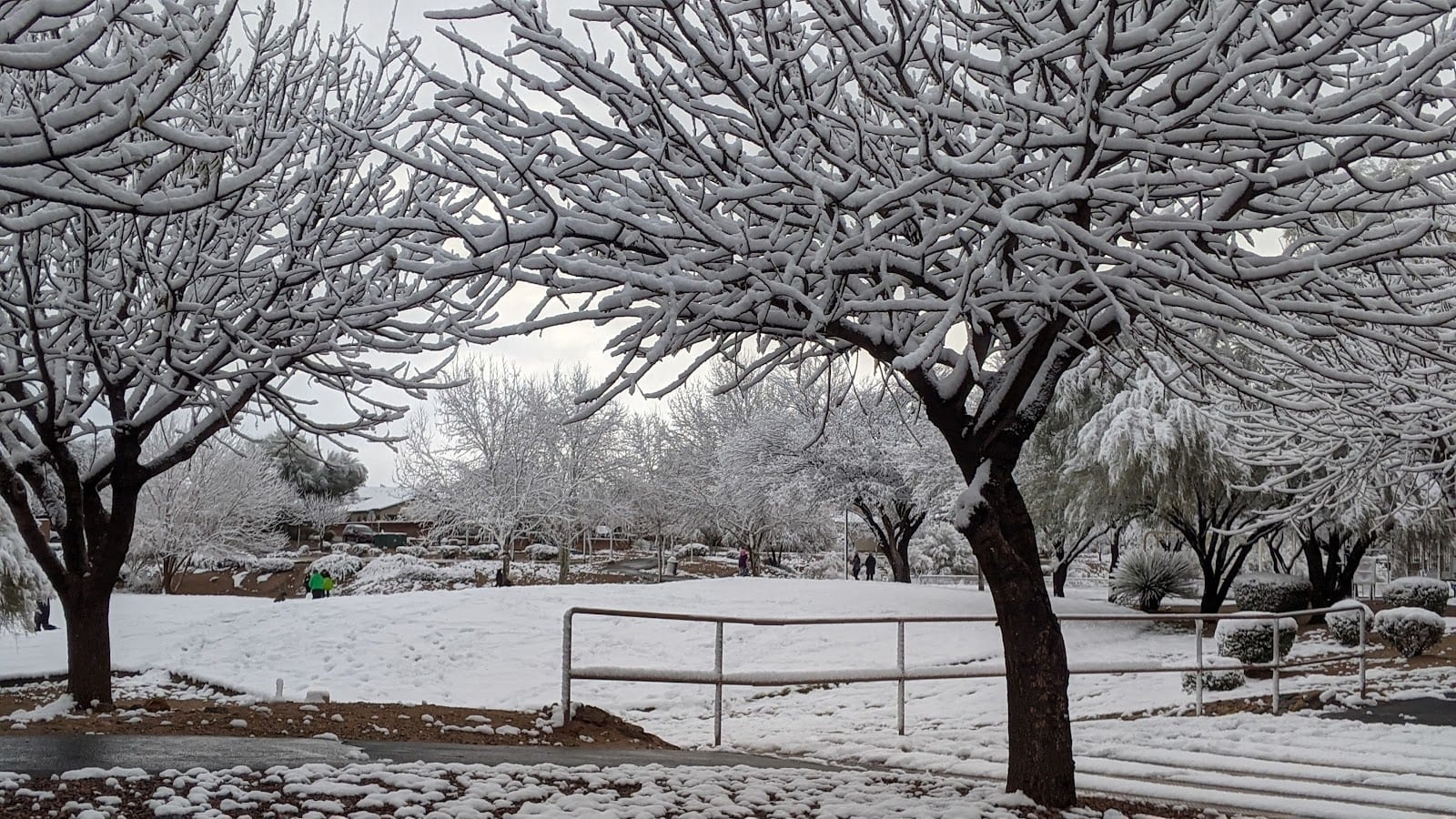 Sycamore Park Community (Private Park), photo 3