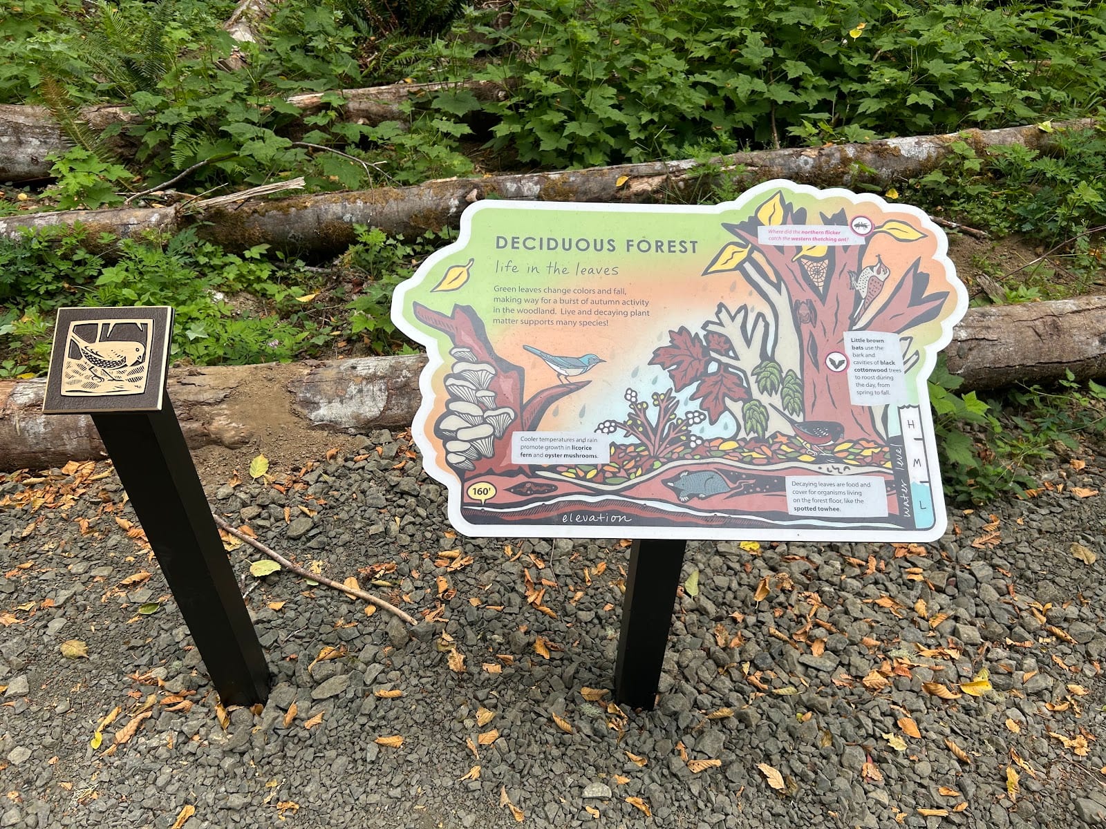 Grass Lake Nature Park Trailhead