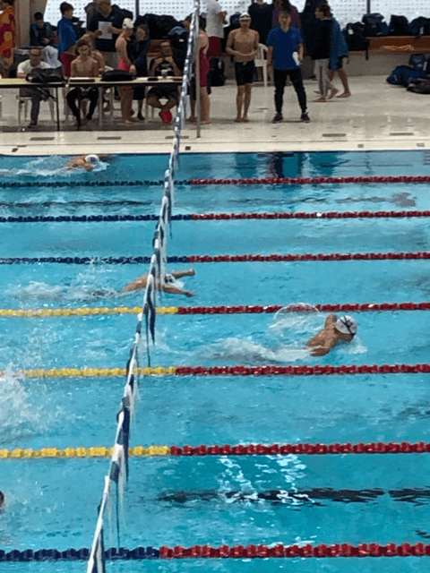 J Dolphins Swim Club
