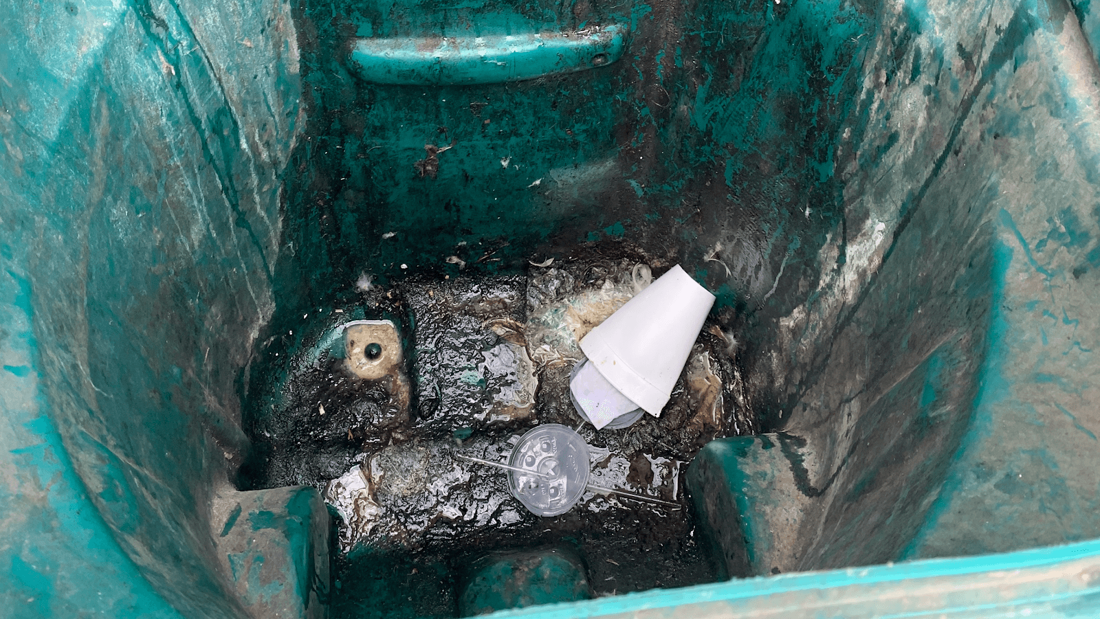 BioClean Bins Trash Bin Cleaning Service, photo 4