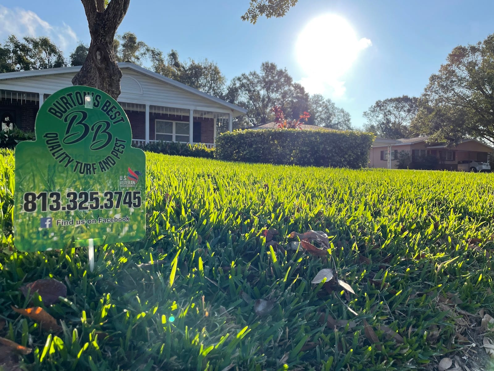 Burtons Best Quality Turf And Pest, photo 4
