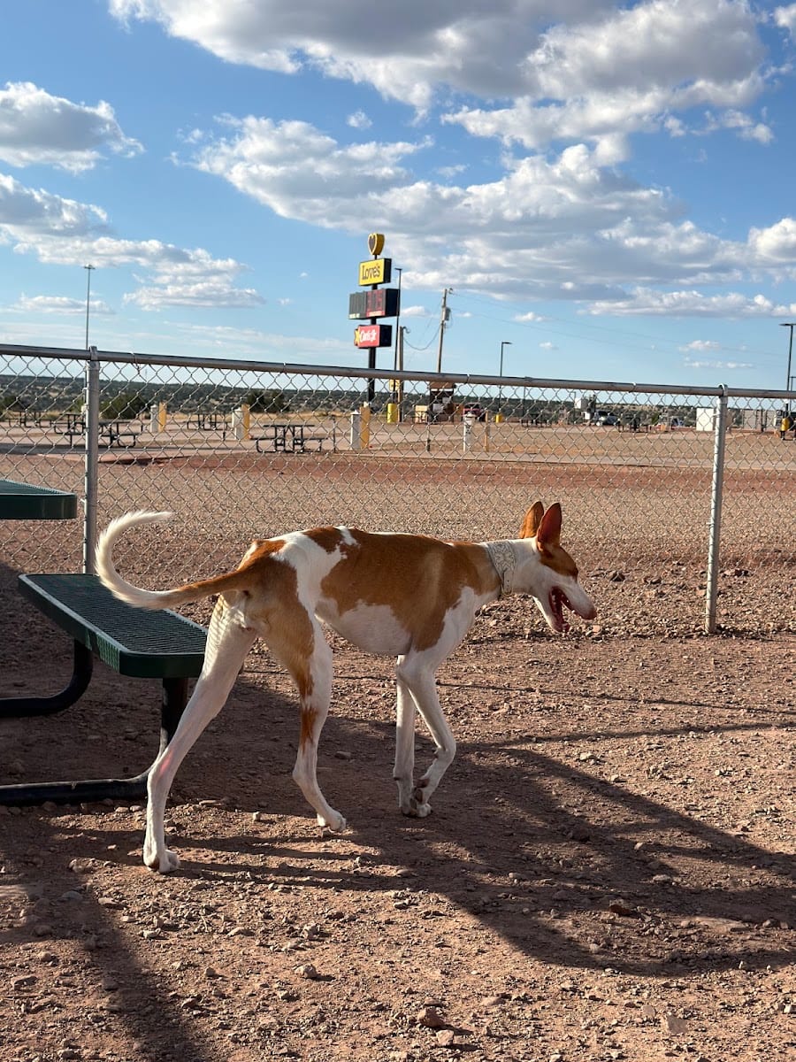 Dog Park at Love's Travel Stops