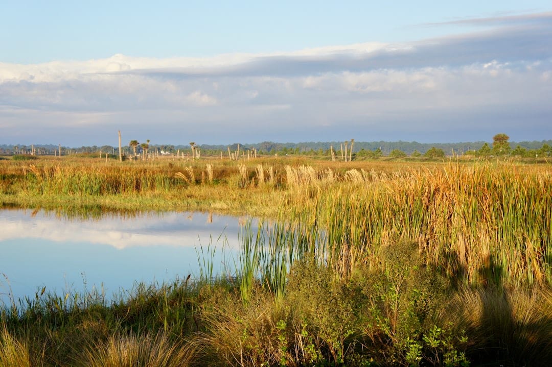 Torch Lake land preservation expands in Grand Traverse Bay area