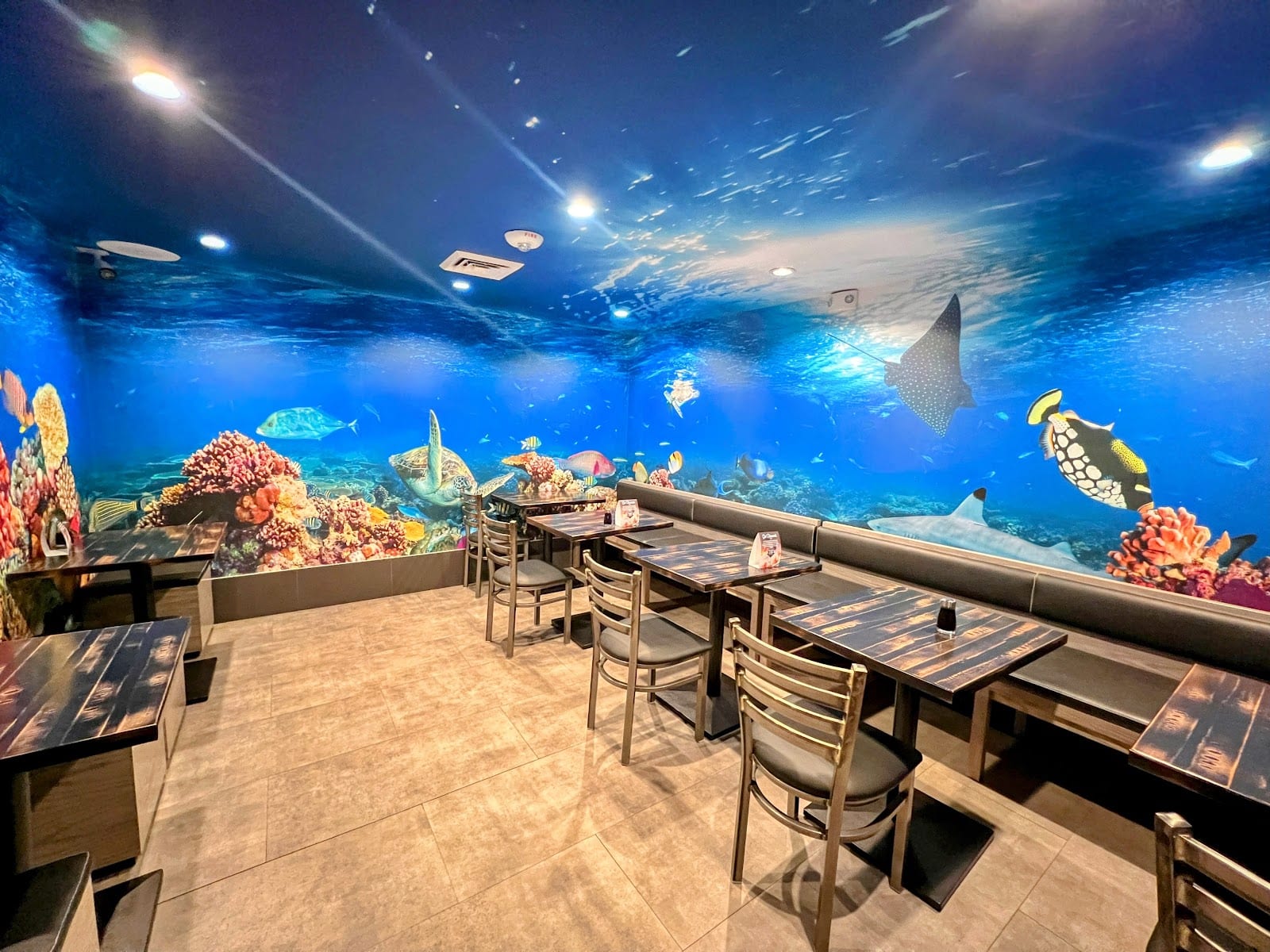 LemonShark Poké