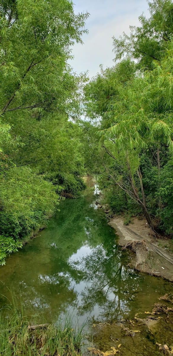 Tree Line Park, photo 3