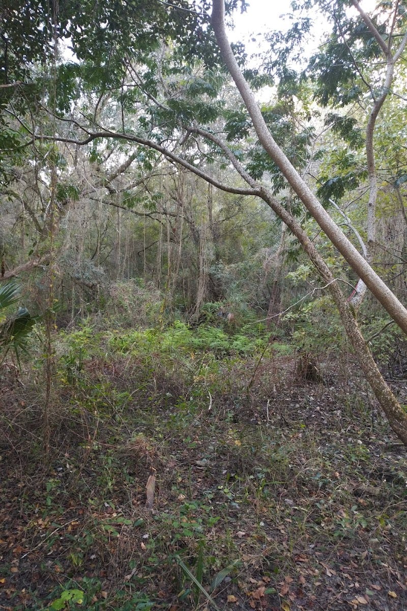 Wildlife Habitat Trail