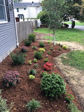 Almost Perfect Landscaping, photo 3