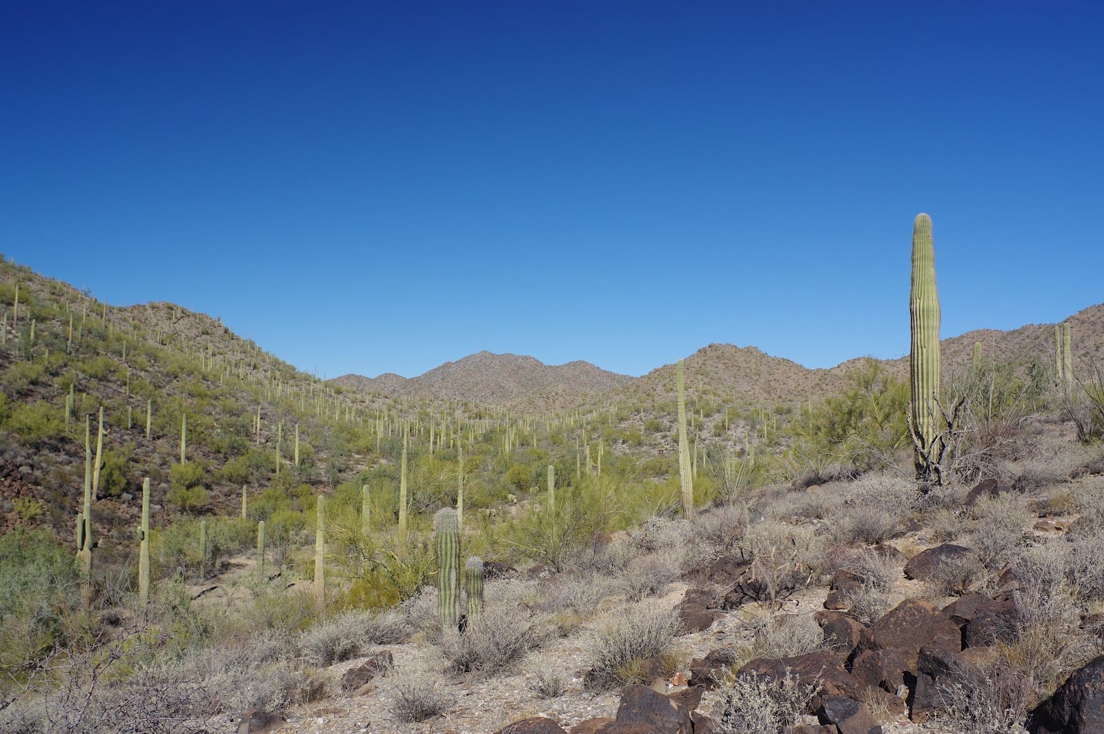 Table Top Mountain Wilderness Trailhead