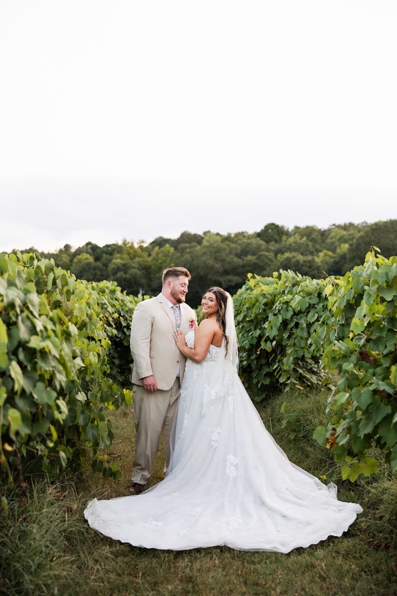 Rusty Tractor Vineyards, photo 4