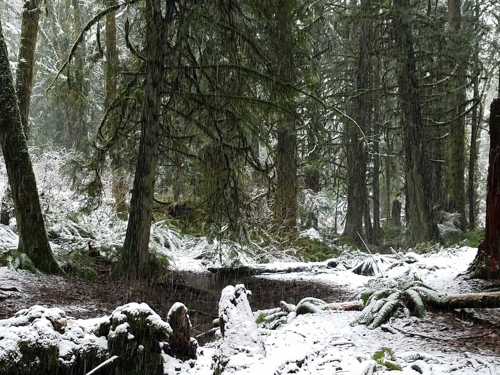 Cooper Crest Park, photo 3