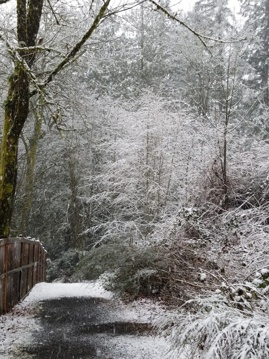 Cooper Crest Park, photo 2