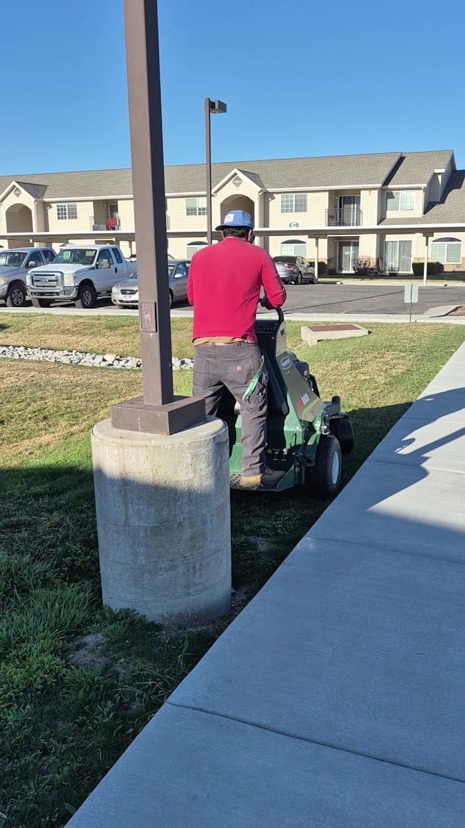 Cazares lawn care, photo 3