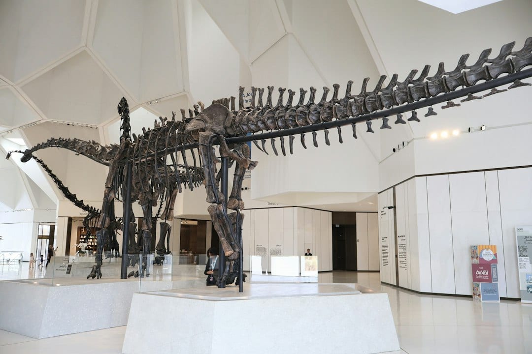 Illustrative fossil exhibit, not Tellus Science Museum