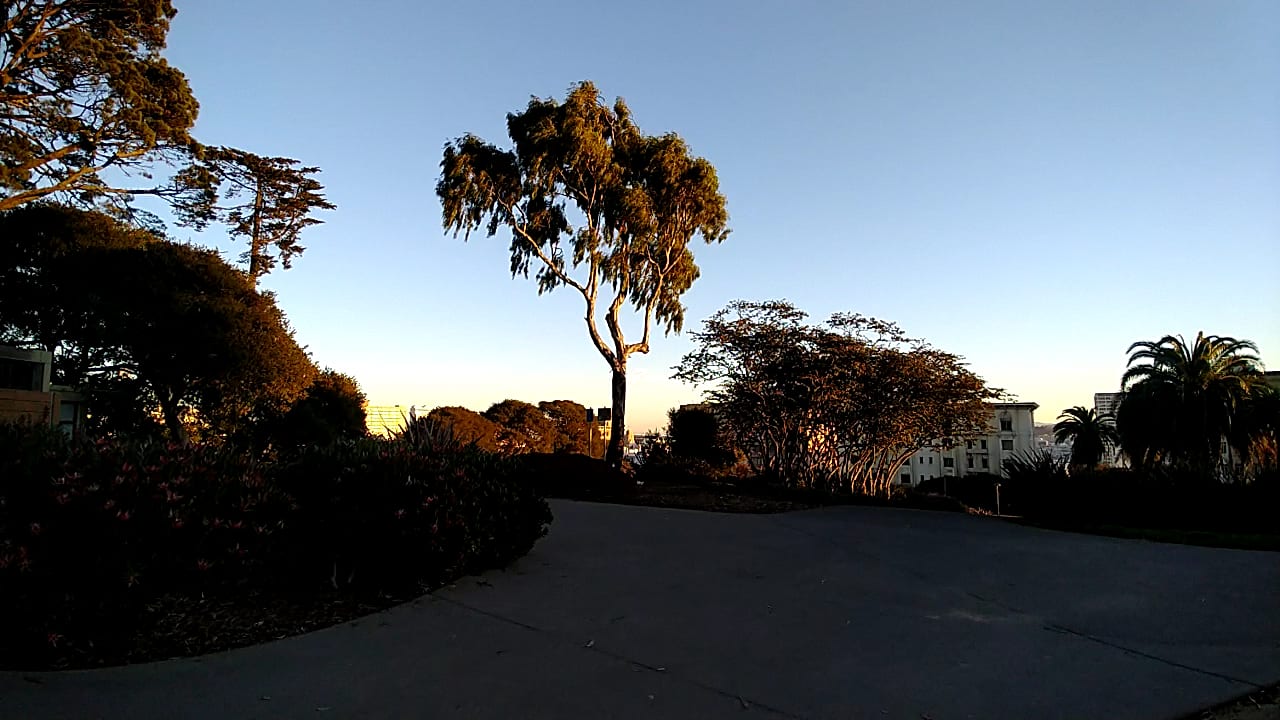 Lafayette Park Dog Play Area, photo 2