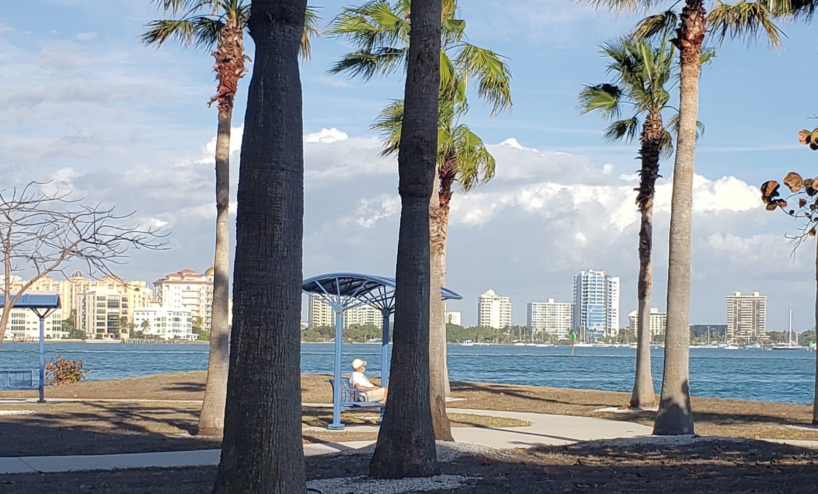 West John Ringling Causeway Park, photo 3