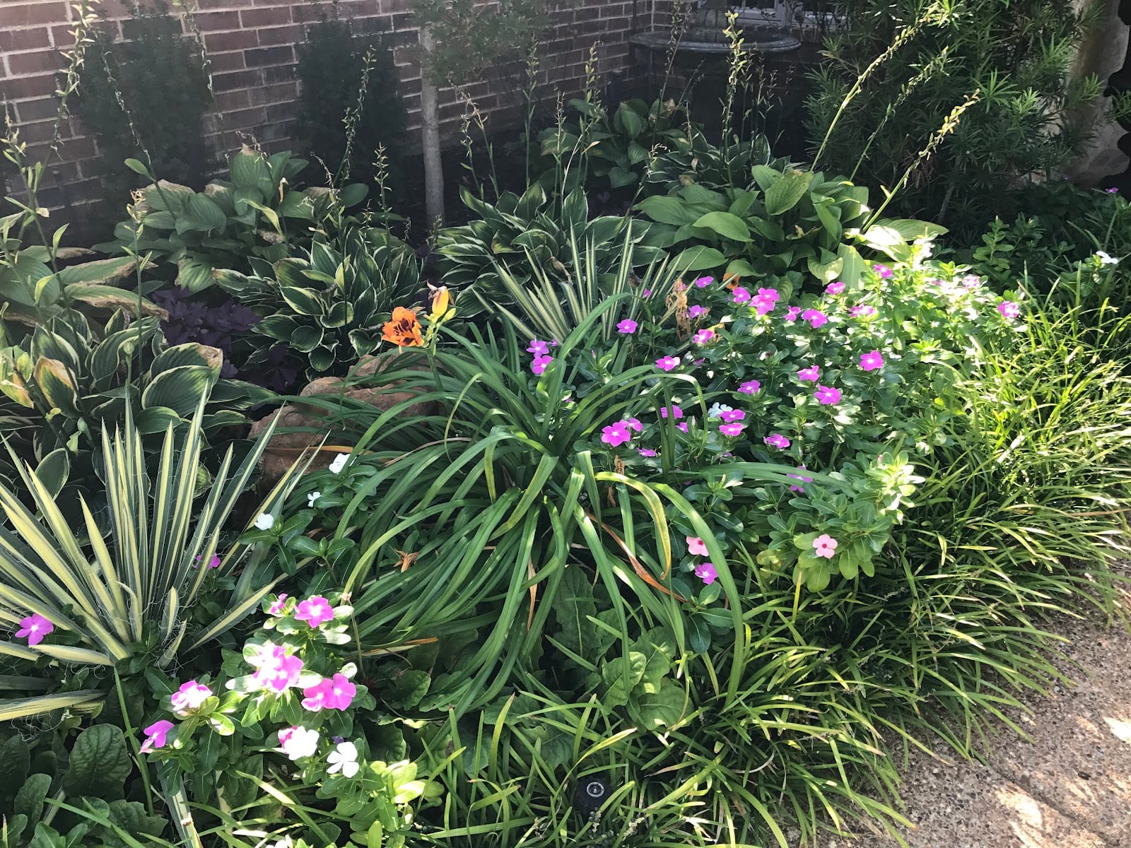 Green Thumb Landscaping, photo 2