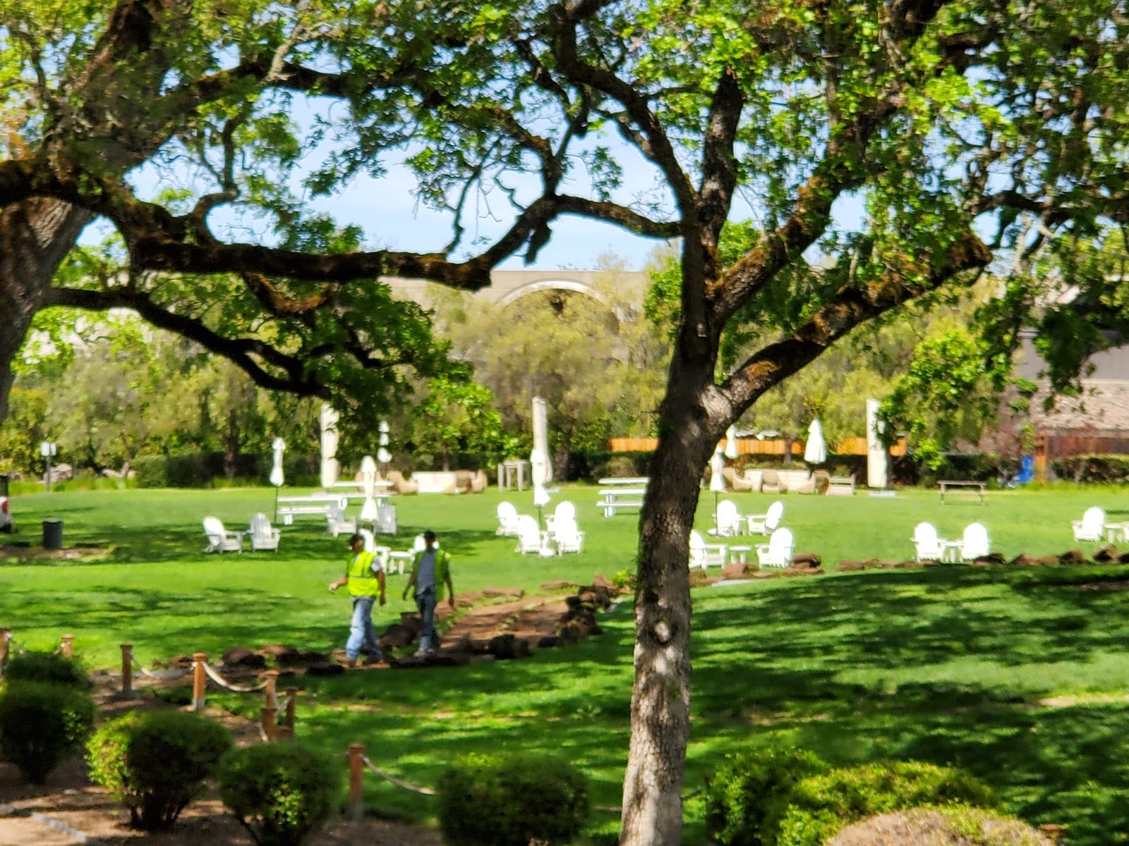 Chandon, photo 3