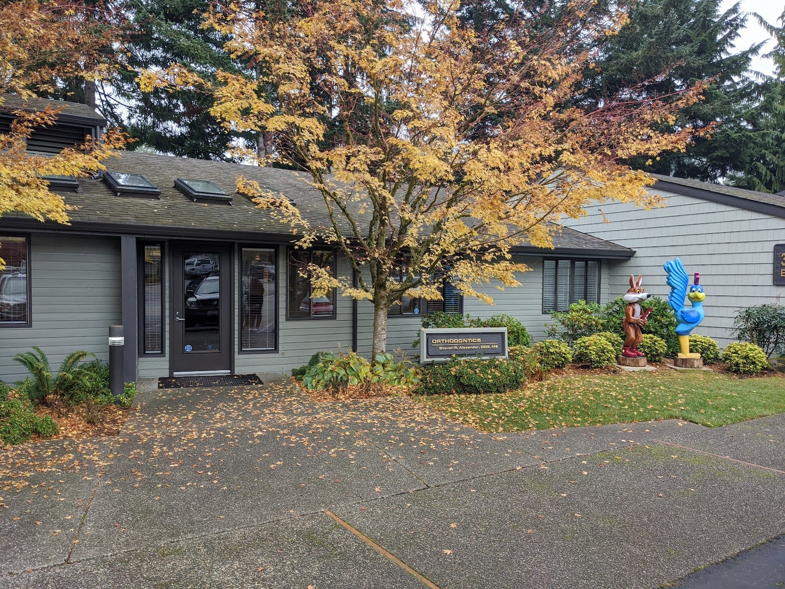 Oly Orthodontics - David D. Shin DDS MSD & Steven R. Alexander DDS MS