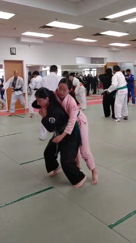 Greater Toronto Jiu Jitsu Center, photo 2