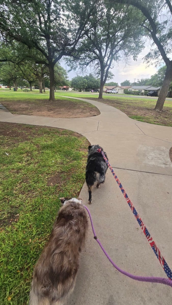 AB Davis Park, photo 3