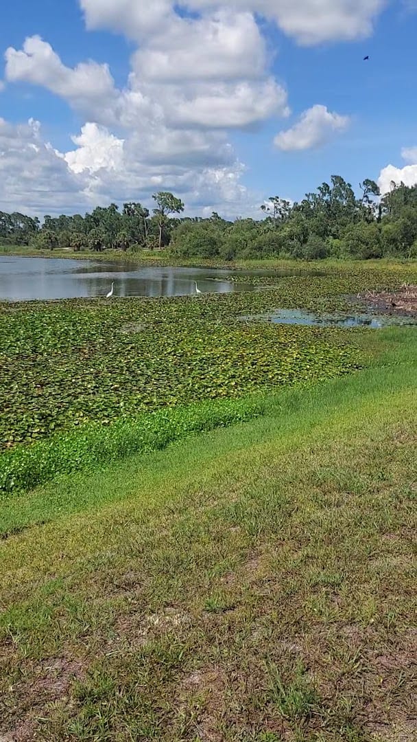 Ollie's Pond Park, photo 2