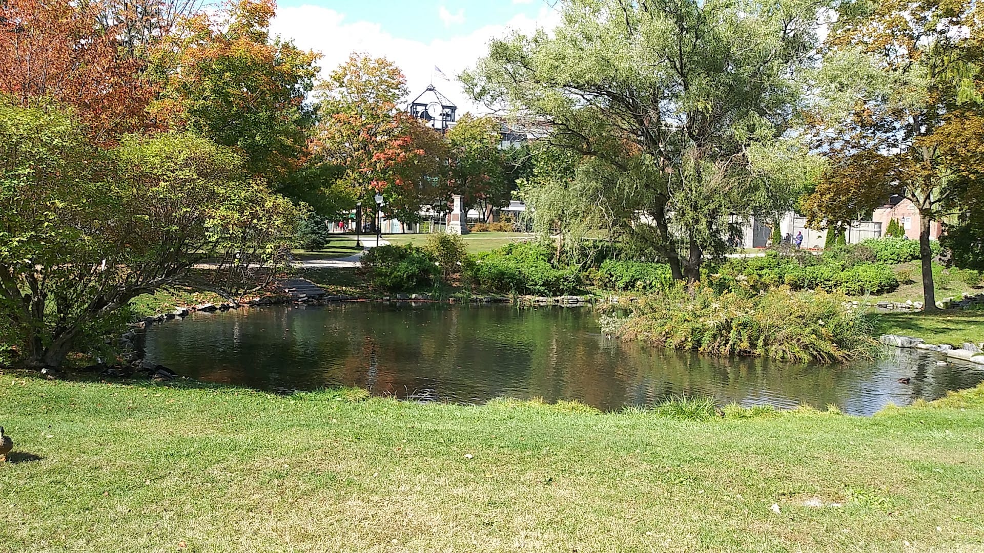 Duck Pond, photo 3