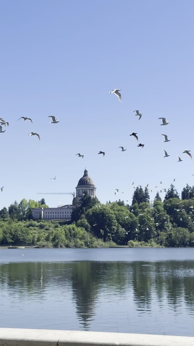 Capitol Lake, photo 2