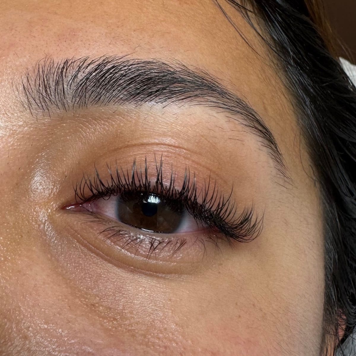 PNP LASHES