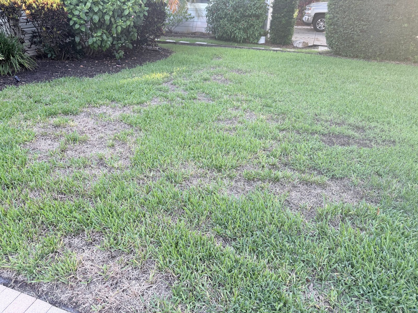 Turner Pest Control, photo 3