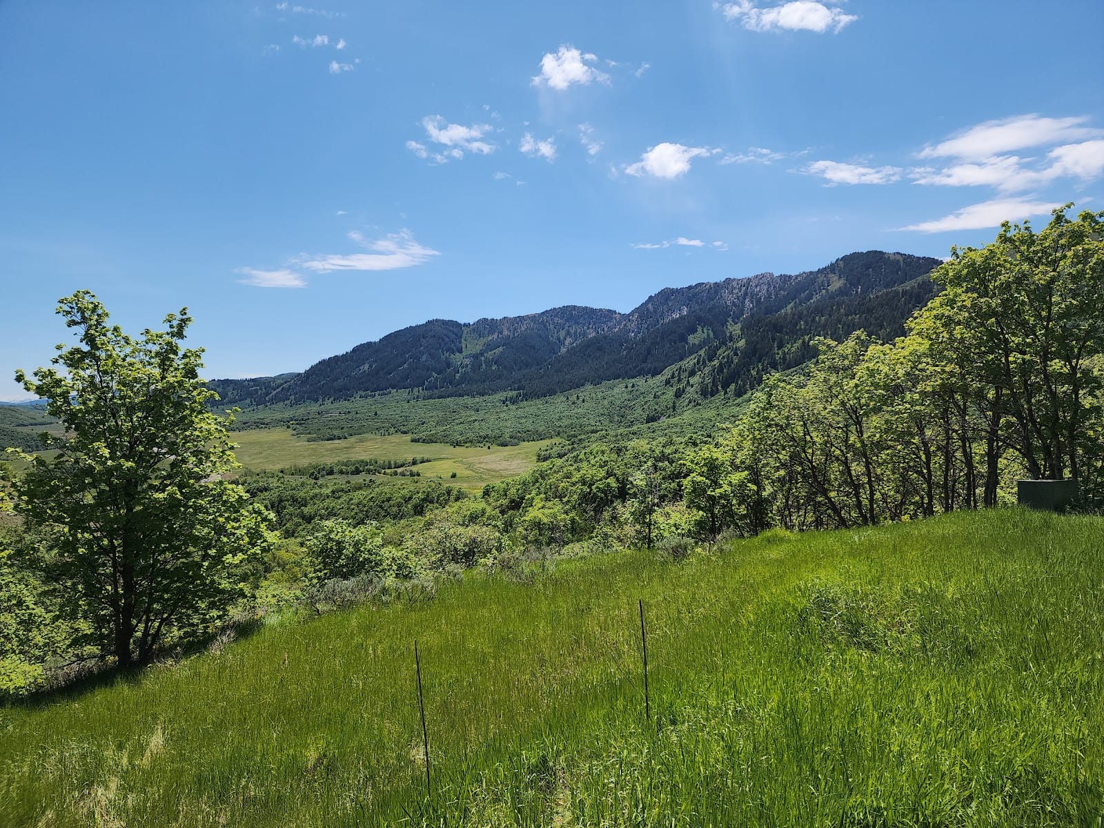 Box Elder Peak Trailhead, photo 3