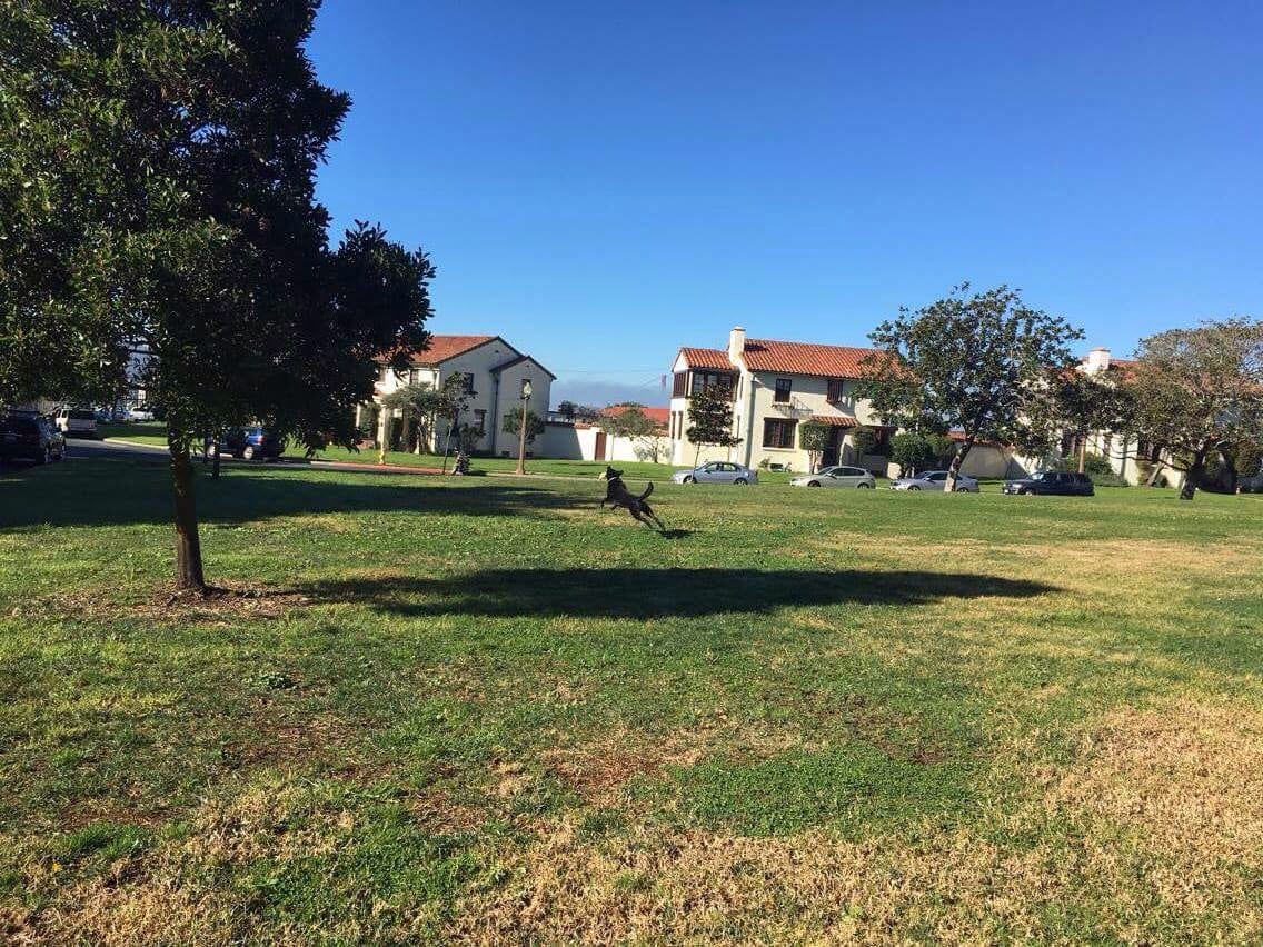 Patrick's Park