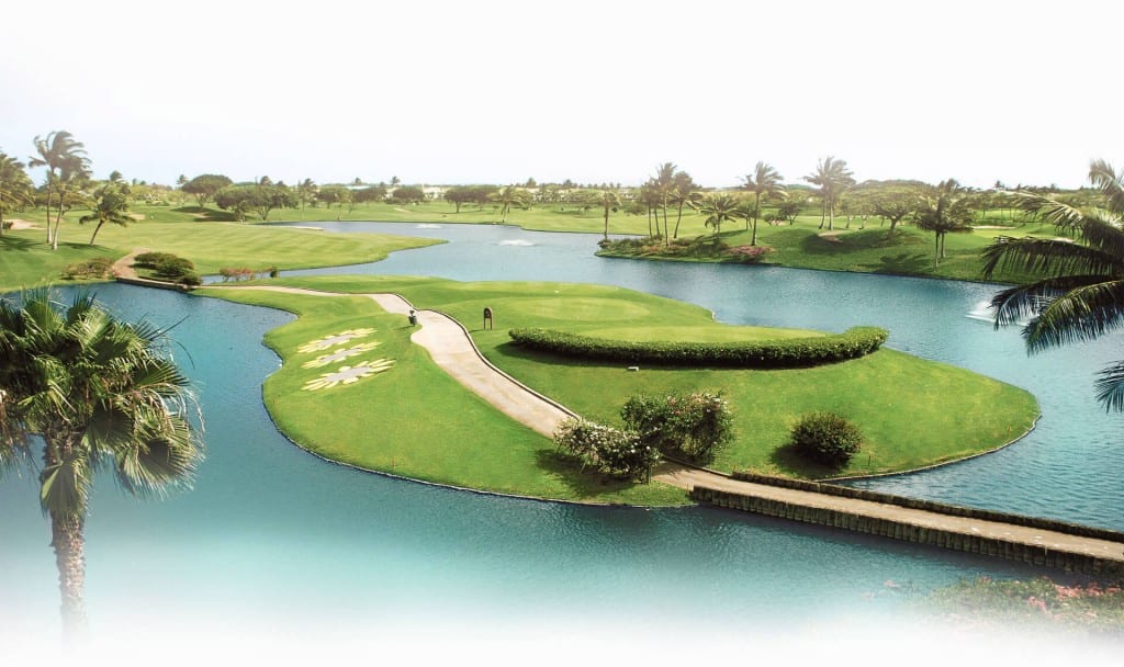 Golf & Grow, photo 4