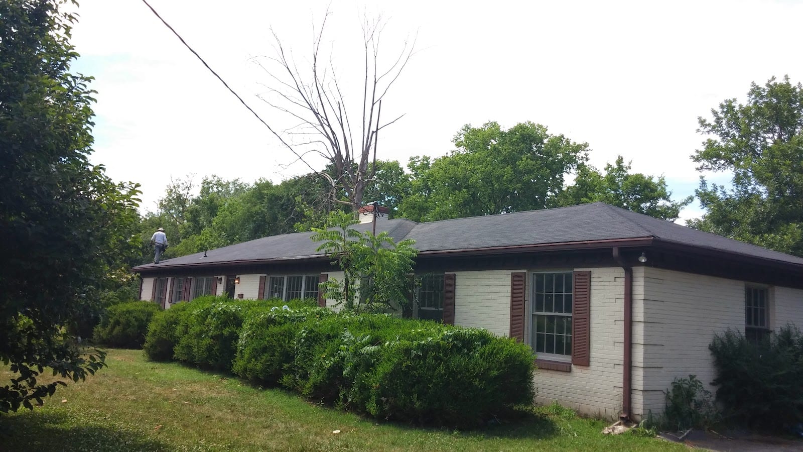 Level One Builders LLC