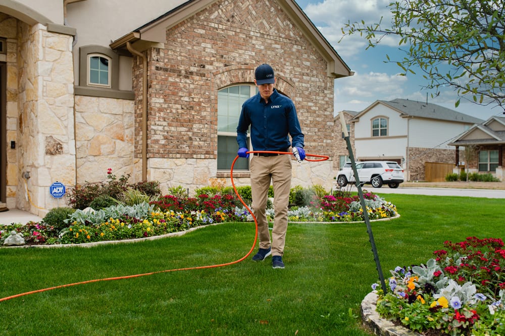 LYNX Pest Control, photo 3