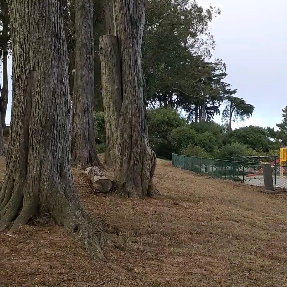 Holly Park Playground, photo 2