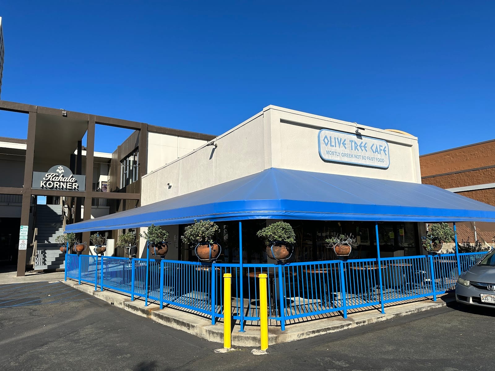 Olive Tree Cafe