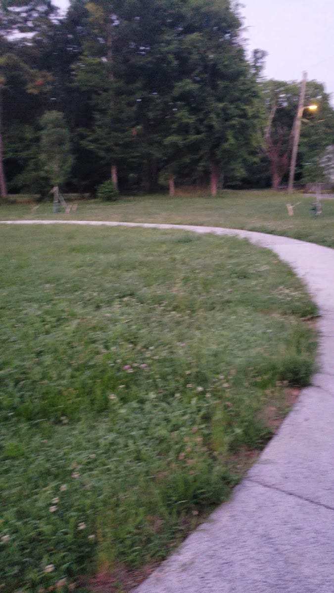Covington Park