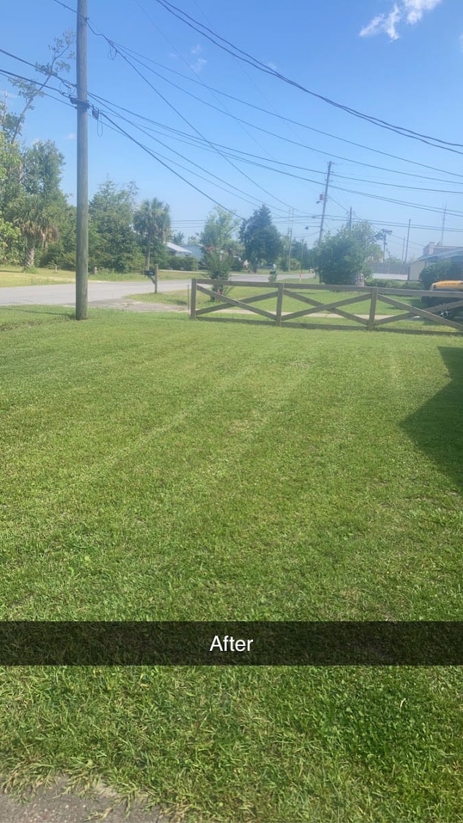 Landshark Pressure Washing, photo 2