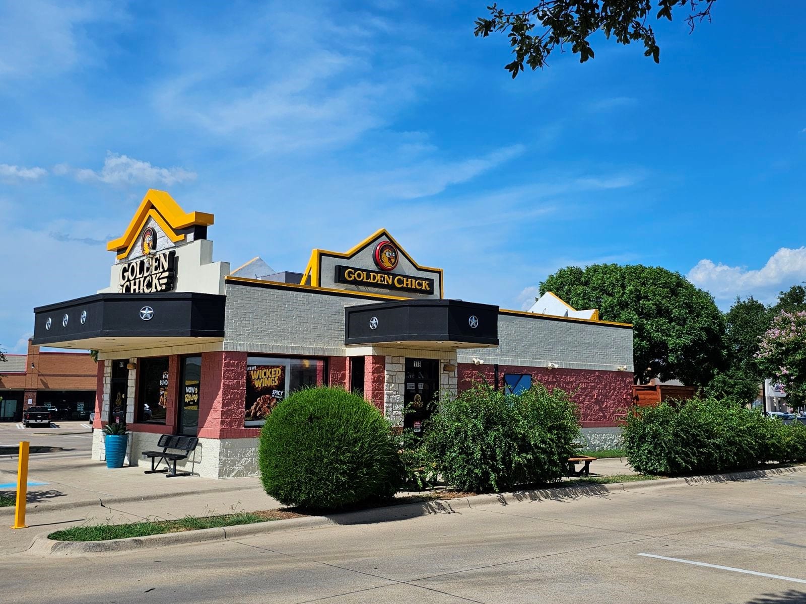 Golden Chick, photo 2